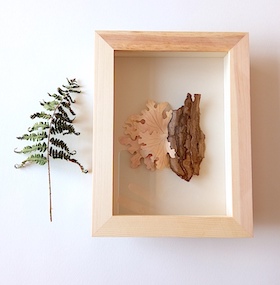 Écorce lichen rose - sous-verre