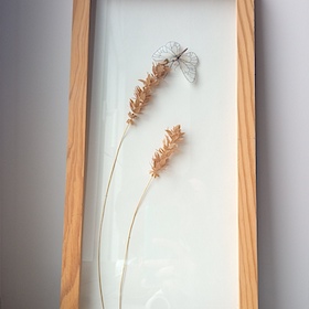 Papillon et herbes sèches - sous-verre